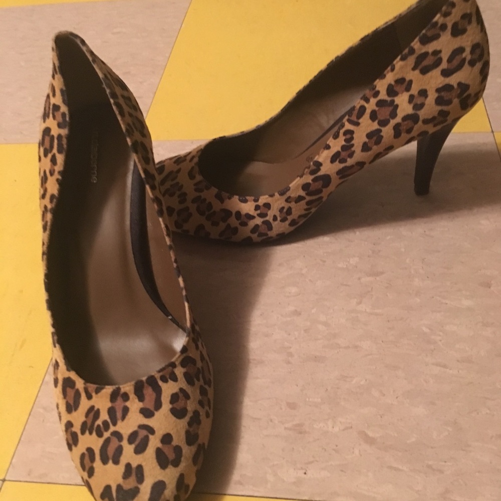 Leopard shoes